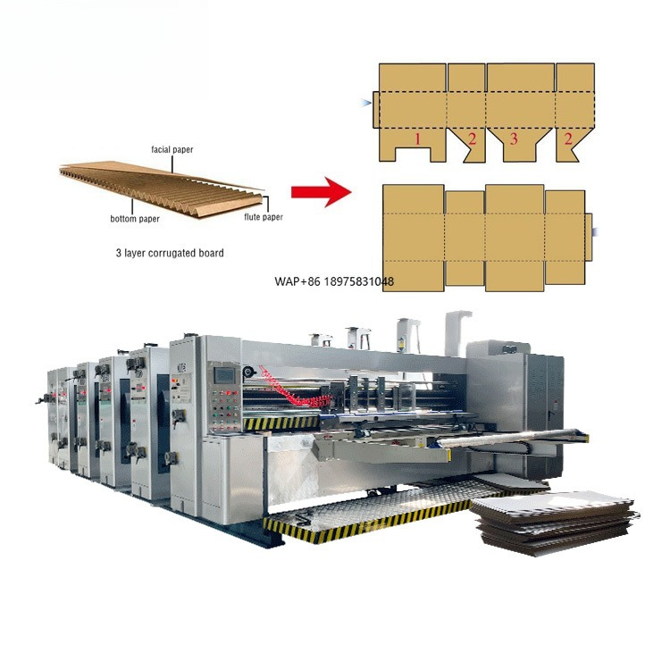 자동 4색 카톤 인쇄 다이커팅 종이상자 포장 제작 기계 - Die Cutting Machine 리뷰 및 가격
